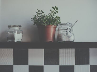 Planta doméstica en una olla y tarros en el estante de la cocina en la pared, primer plano